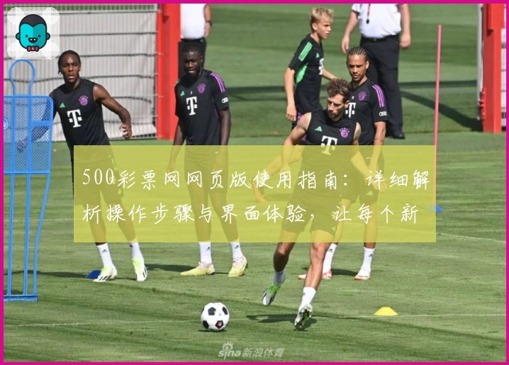 500彩票网网页版使用指南：详细解析操作步骤与界面体验，让每个新用户轻松上手