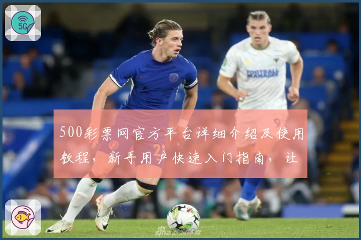 500彩票网官方平台详细介绍及使用教程,新手用户快速入门指南,让您轻松掌握核心功能